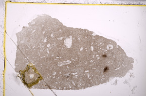 Plane Polarized, E24522