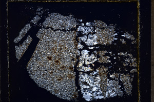 Cross Polarized, E24524