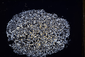 Cross Polarized, E24602