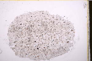 Plane Polarized, E24602