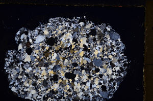 Cross Polarized, E24603