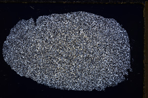 Cross Polarized, E24604