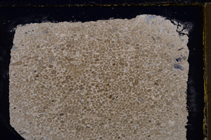 Cross Polarized, E24607