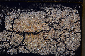 Cross Polarized, E24613