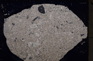 Cross Polarized, E24626