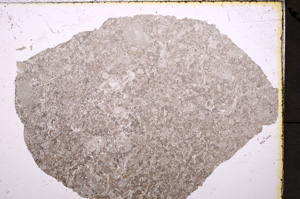 Plane Polarized, E24626