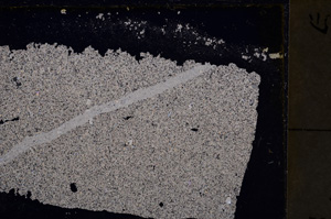 Cross Polarized, E24627