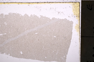 Plane Polarized, E24627