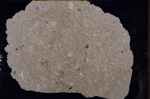 Cross Polarized, E24629