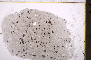 Plane Polarized, E24636