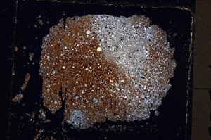 Cross Polarized, E24656