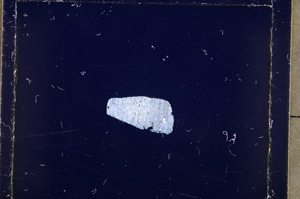 Cross Polarized, E24668