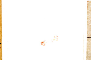 Plane Polarized, E24697