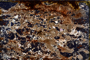 Cross Polarized, E24710