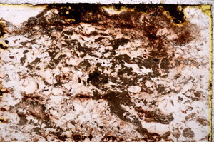 Plane Polarized, E24710