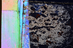 Cross Polarized, E24711