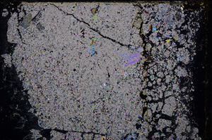 Cross Polarized, E24717