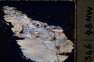 Cross Polarized, E24720