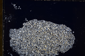 Cross Polarized, E24752