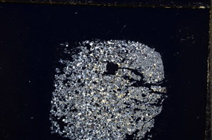 Cross Polarized, E24753