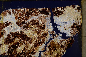 Cross Polarized, E24754