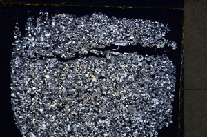 Cross Polarized, E24755