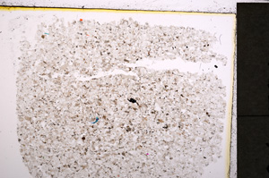 Plane Polarized, E24755