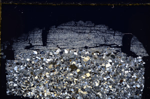 Cross Polarized, E24756