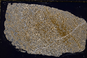 Cross Polarized, E24757