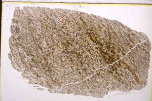 Plane Polarized, E24757