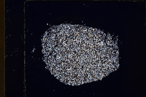 Cross Polarized, E24788