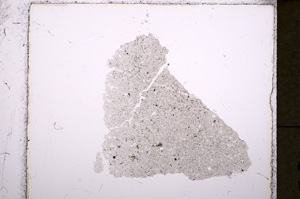 Plane Polarized, E24789