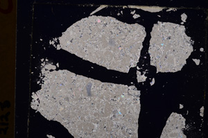 Cross Polarized, E24795