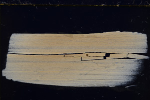 Cross Polarized, E24863