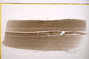 Plane Polarized, E24863