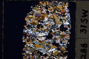 Cross Polarized, E24910