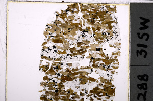 Plane Polarized, E24910