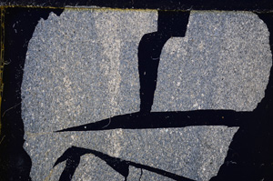Cross Polarized, E24917