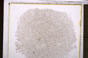 Plane Polarized, E24952