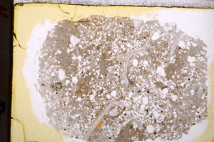 Plane Polarized, E24953