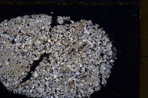 Cross Polarized, E24954