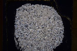 Cross Polarized, E24955