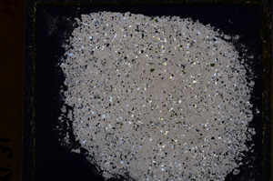 Cross Polarized, E24956