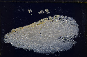 Cross Polarized, E24957