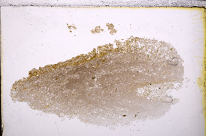 Plane Polarized, E24957