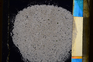 Cross Polarized, E24958