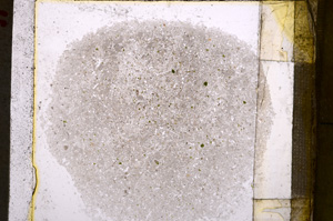 Plane Polarized, E24958