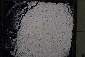 Cross Polarized, E24959