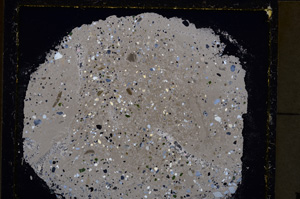 Cross Polarized, E24960