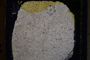 Cross Polarized, E24961